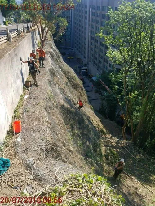 Terwilliger Plaza Slope Stabilization